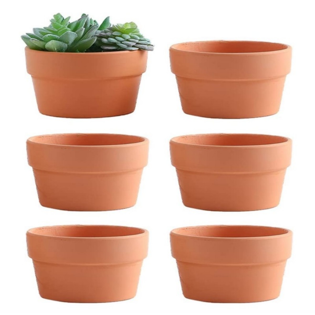 Aloe Vera Pot - 6 adet Terracotta Buld tencere 3.5