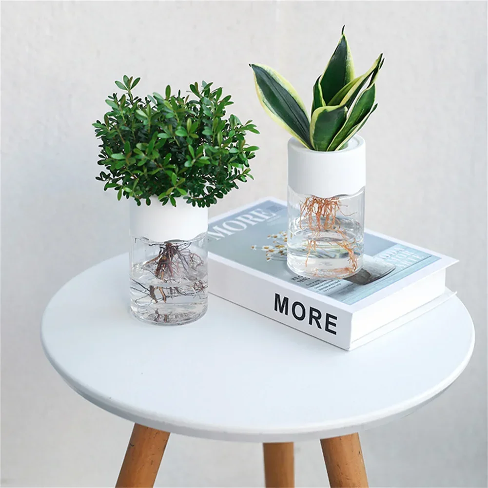 Mini Hidroponik Saksı Şeffaf T - Aloe Vera Pot incelemesi ve fiyatı