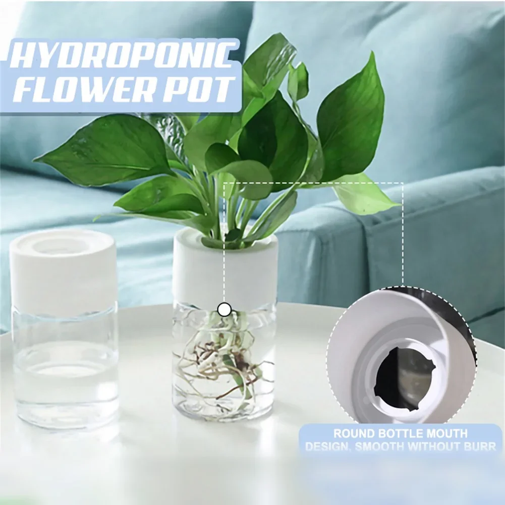 Mini Hidroponik Saksı Şeffaf T - Aloe Vera Pot incelemesi ve fiyatı
