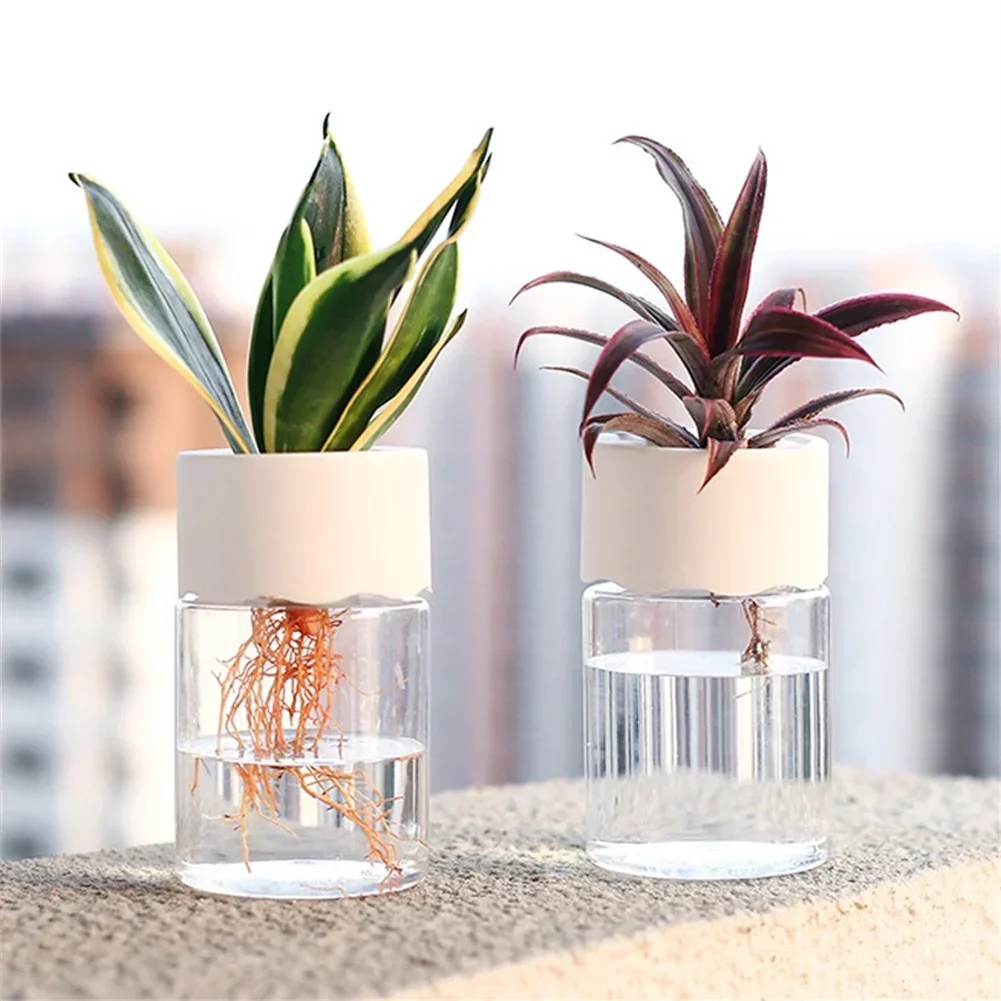 Mini Hidroponik Saksı Şeffaf T - Aloe Vera Pot incelemesi ve fiyatı
