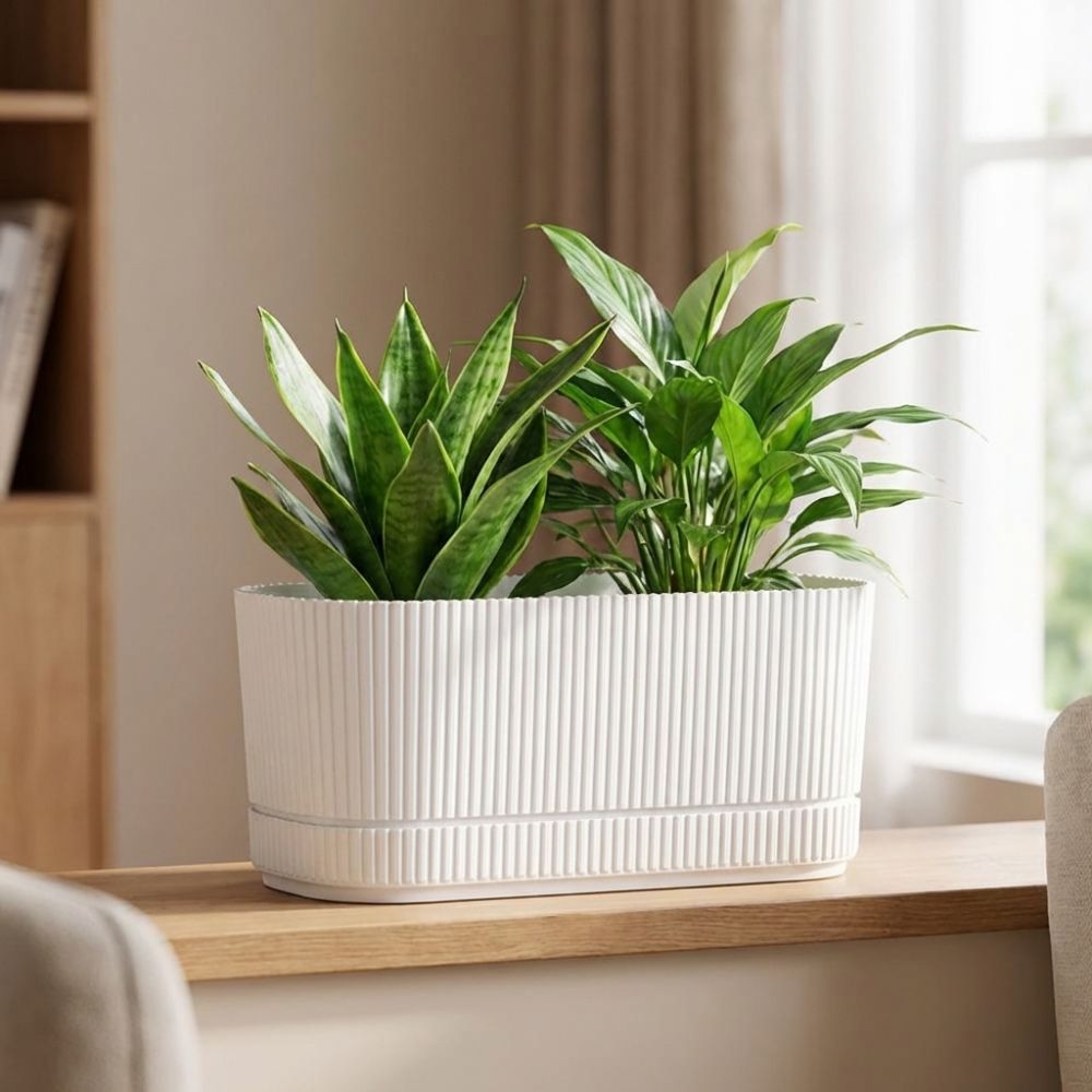 Plastik Kendiliğinden Sulanan  - Aloe Vera Pot incelemesi ve fiyatı