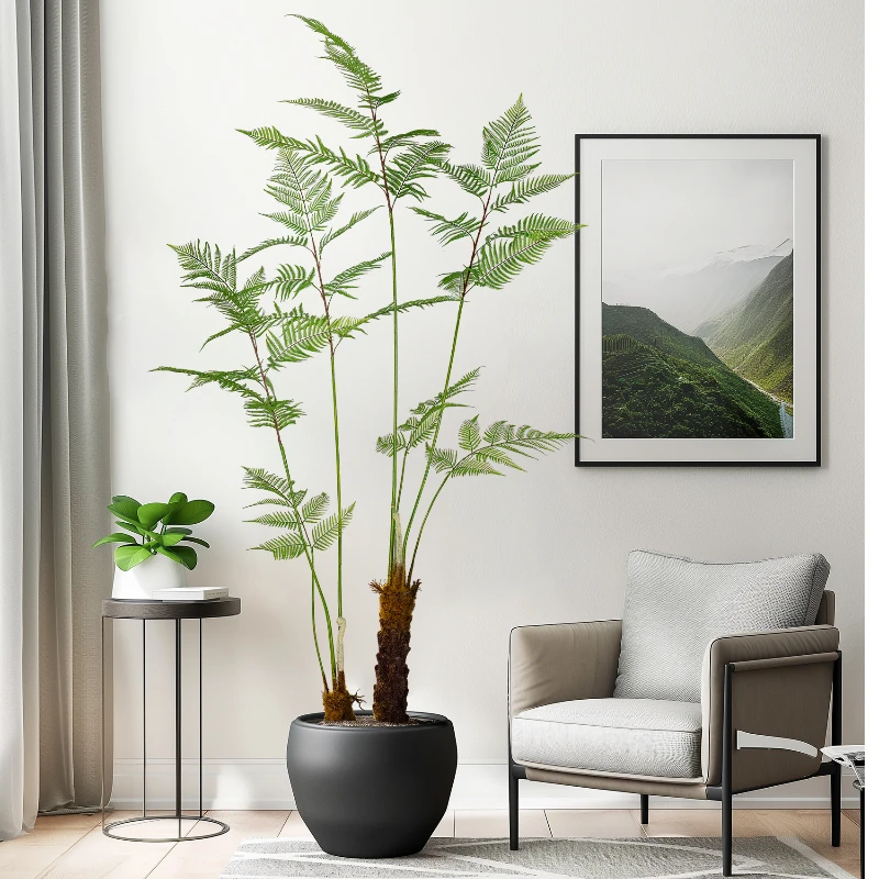Büyük Simüle Altın Maymun Fern - Dracaena Marginata incelemesi ve fiyatı