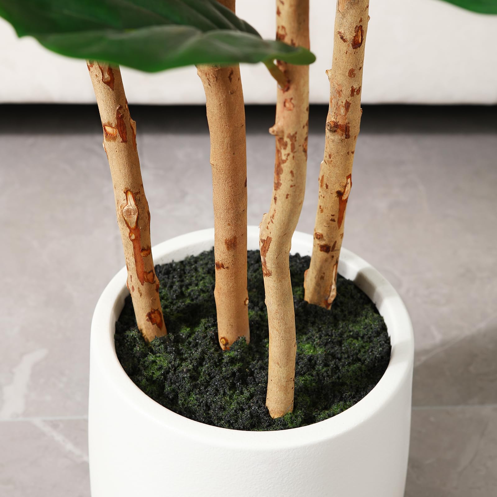 Beyaz Saksılı Yapay İncir Ağac - Ficus Lyrata Tree incelemesi ve fiyatı