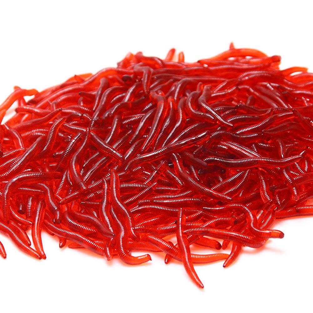 50/100 adet yumuşak yem bas çi - Aglaonema Red incelemesi ve fiyatı