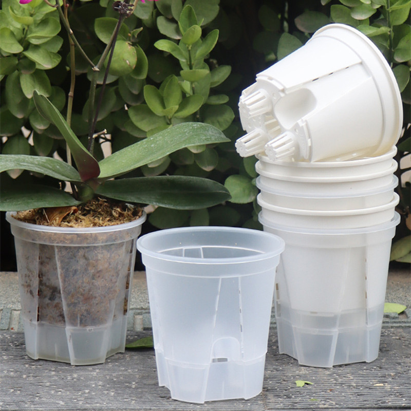 5 adet Şeffaf Orkide Pot Delik - Aloe Vera Pot incelemesi ve fiyatı
